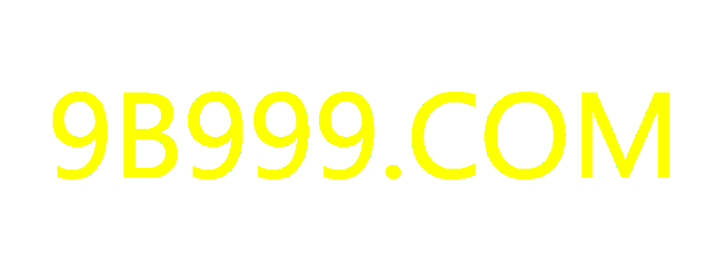 9B999.COM